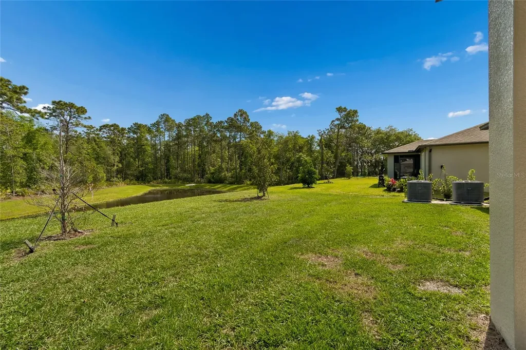10065 Gentle Rain Drive Land O Lakes FL 34638