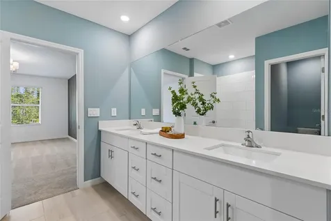 10065 Gentle Rain Drive Land O Lakes FL 34638
