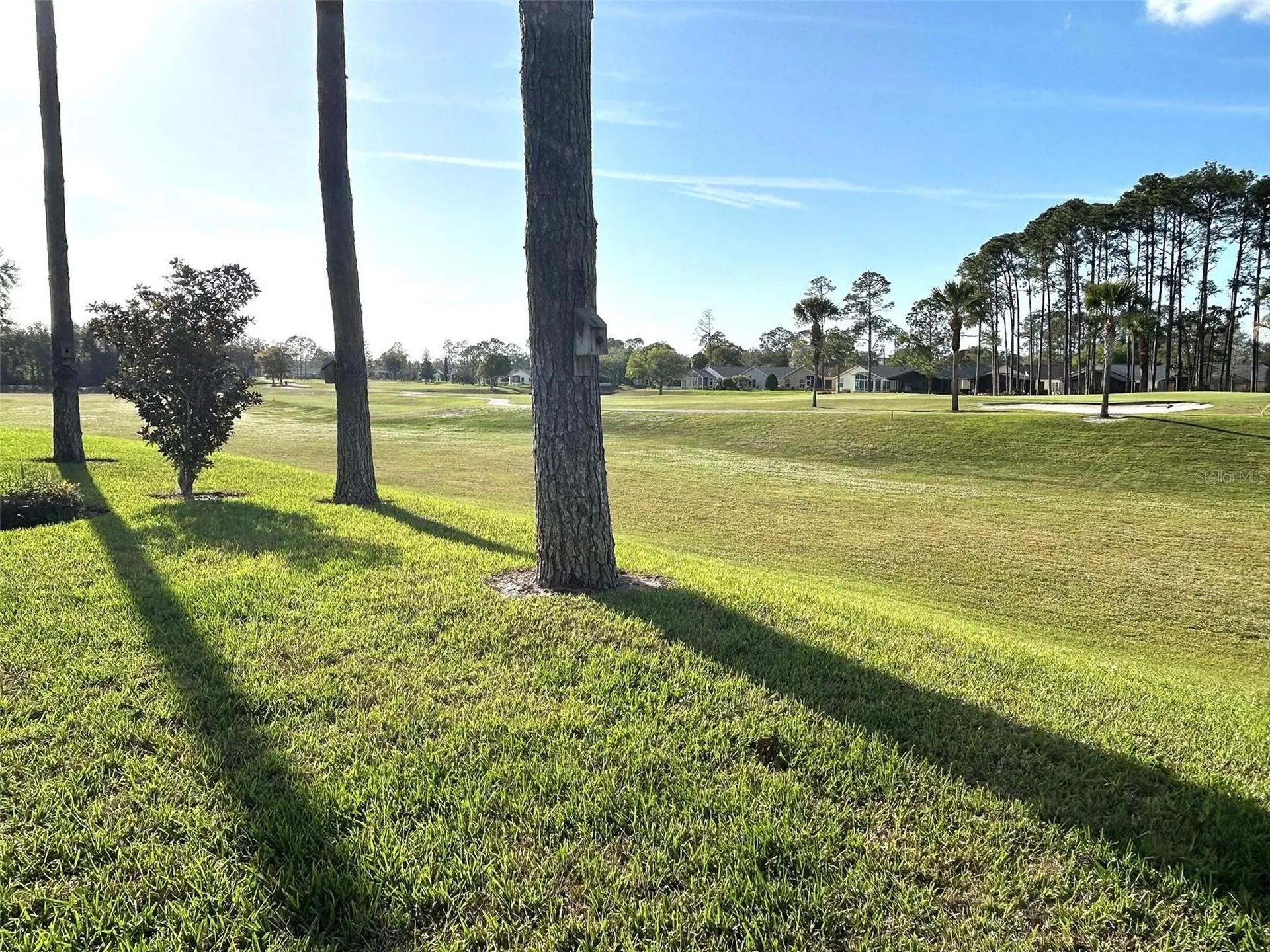 11636 Spindrift Loop Hudson FL 34667
