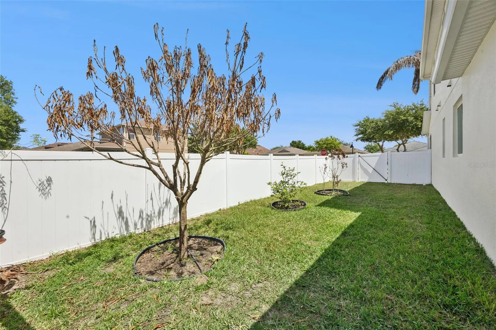 3177 Bayou Lane Tavares FL 32778