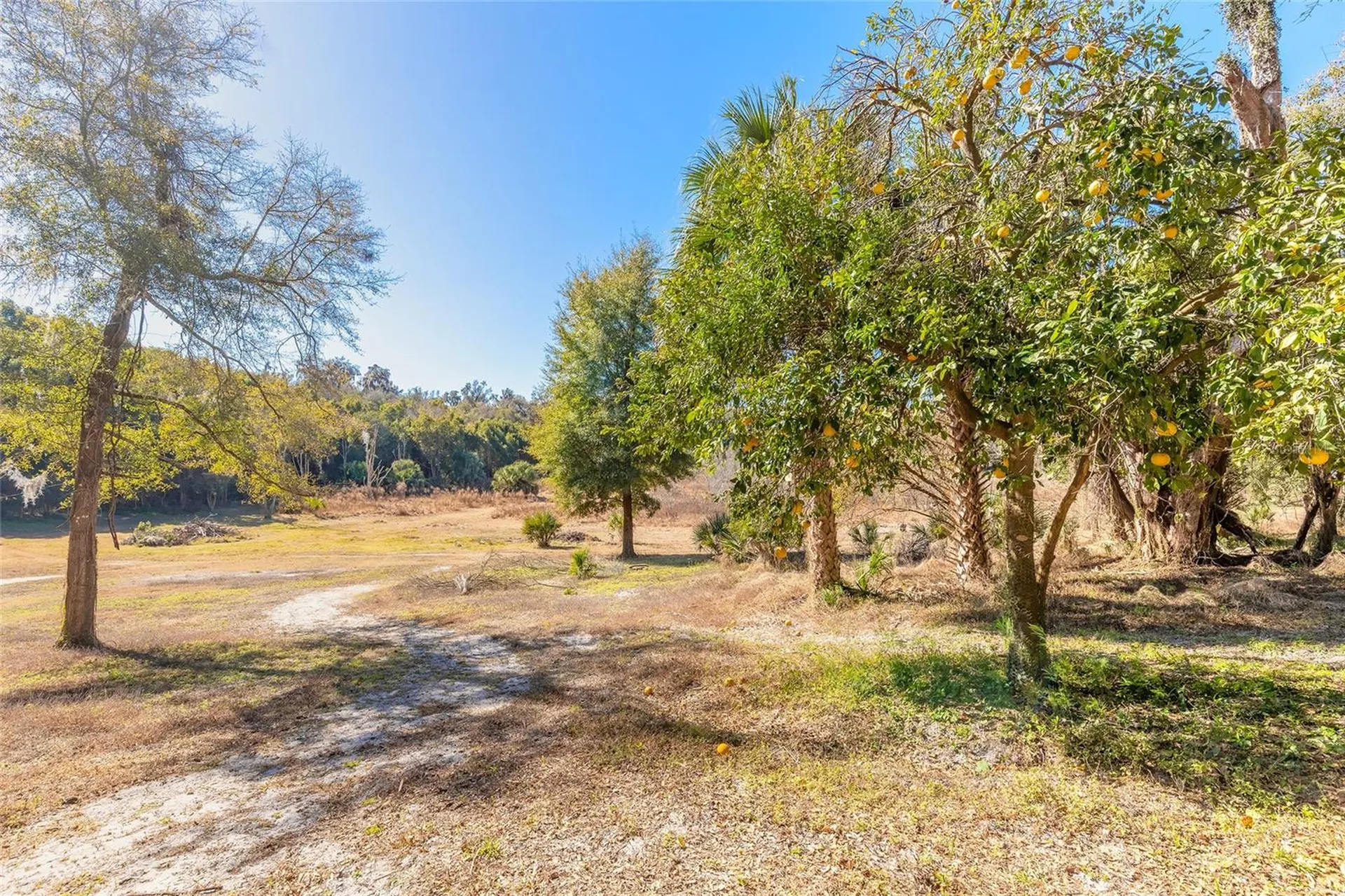2090 & 2095 Stone Road Deland FL 32720
