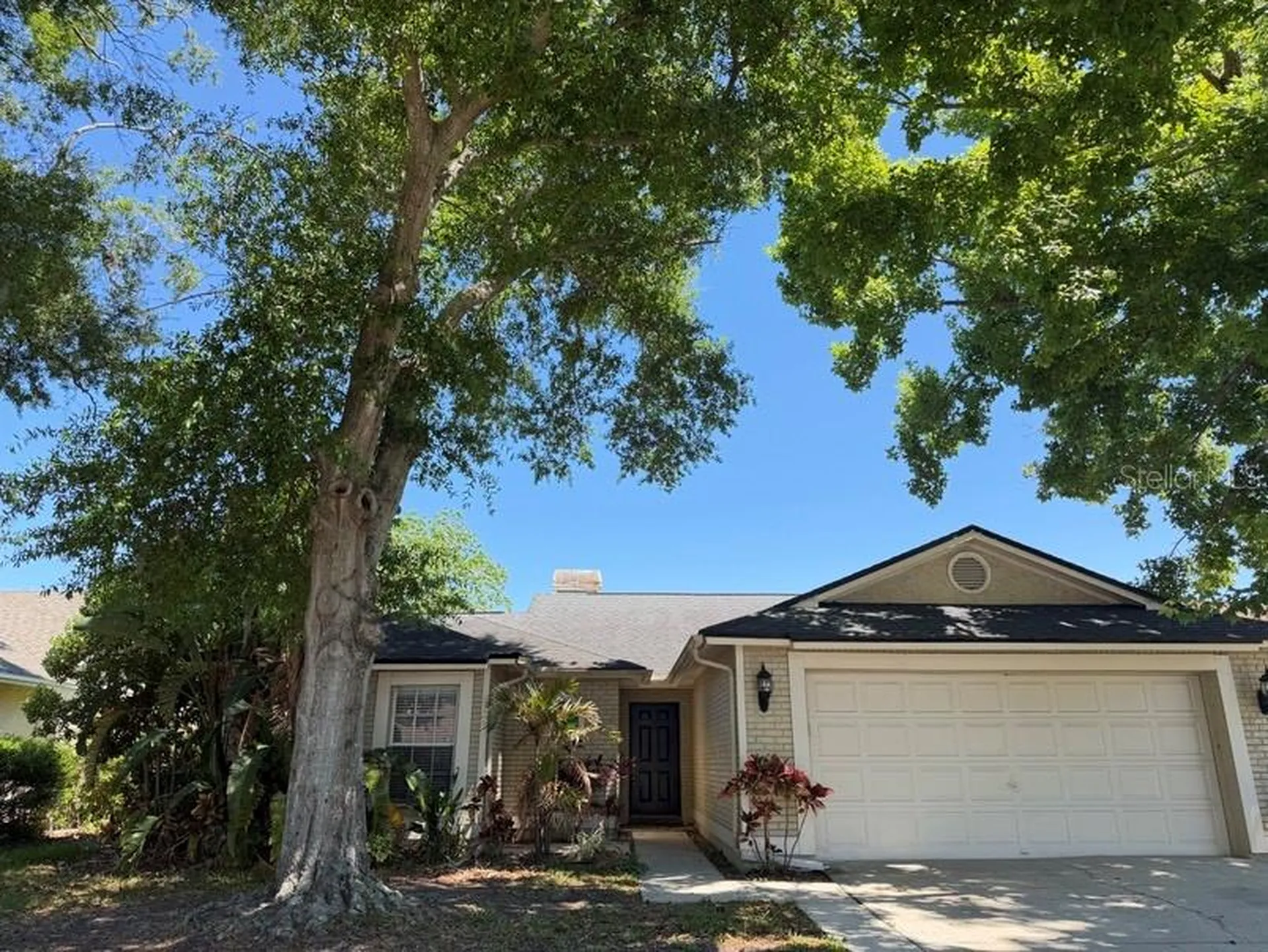 8753 Hampden Drive Tampa FL 33626