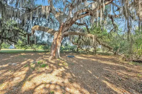 4610 Oak Cove Lane Orlando FL 32806