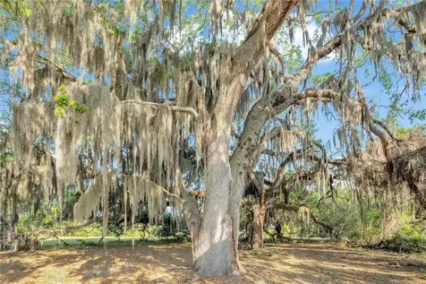 4610 Oak Cove Lane Orlando FL 32806