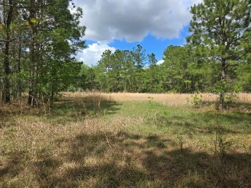 8878 SE 180th Avenue Road Ocklawaha FL 32179