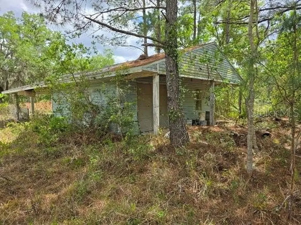8878 SE 180th Avenue Road Ocklawaha FL 32179