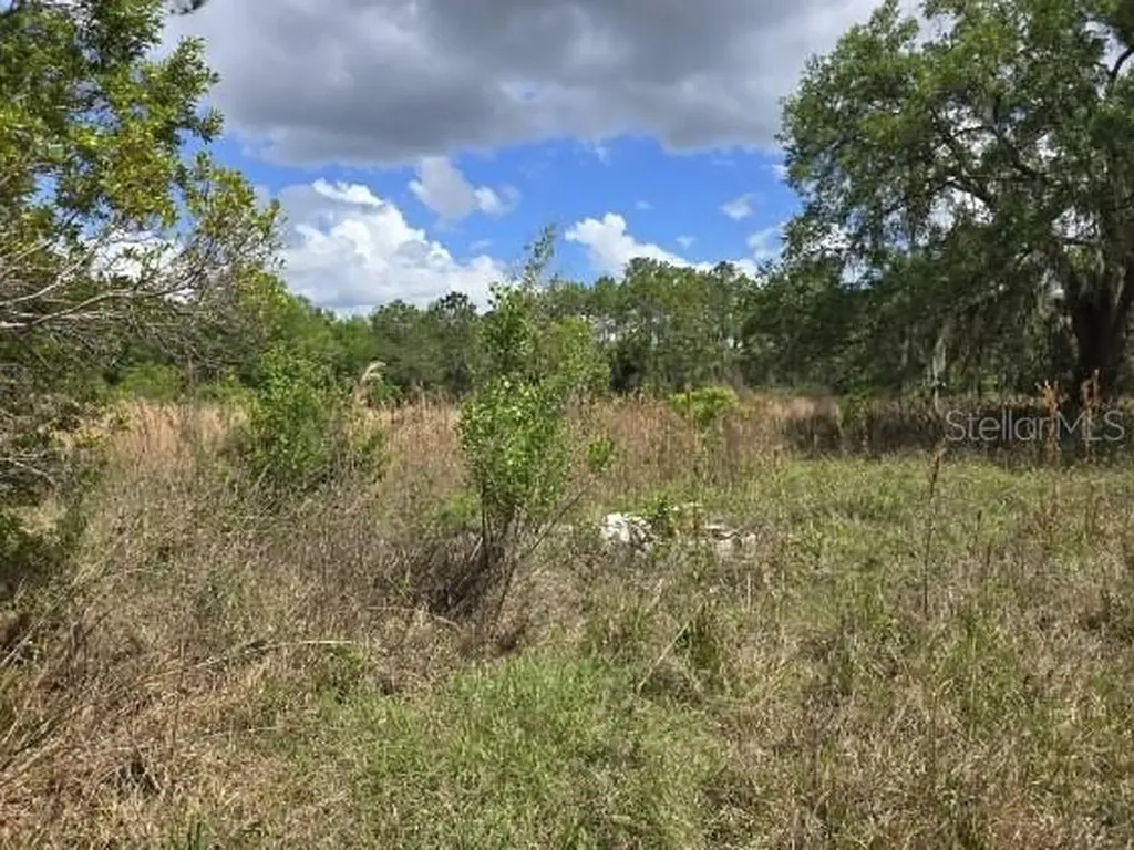 8878 SE 180th Avenue Road Ocklawaha FL 32179