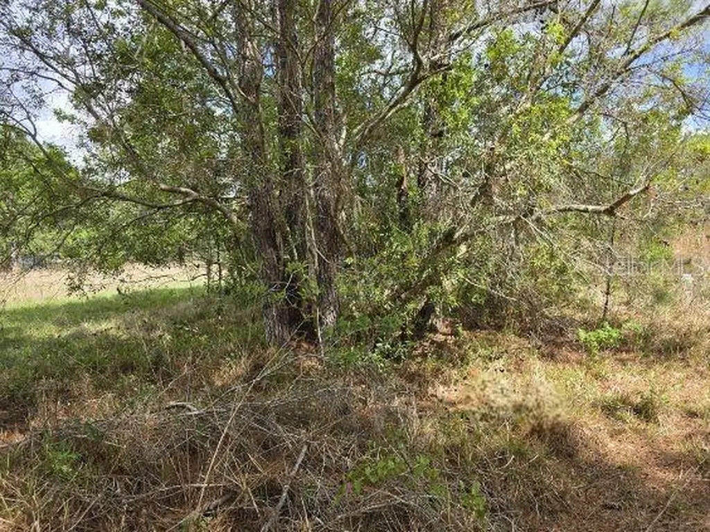 8878 SE 180th Avenue Road Ocklawaha FL 32179
