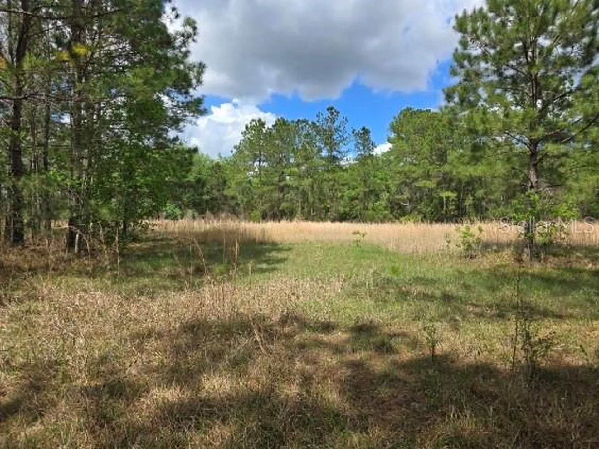 8878 SE 180th Avenue Road Ocklawaha FL 32179
