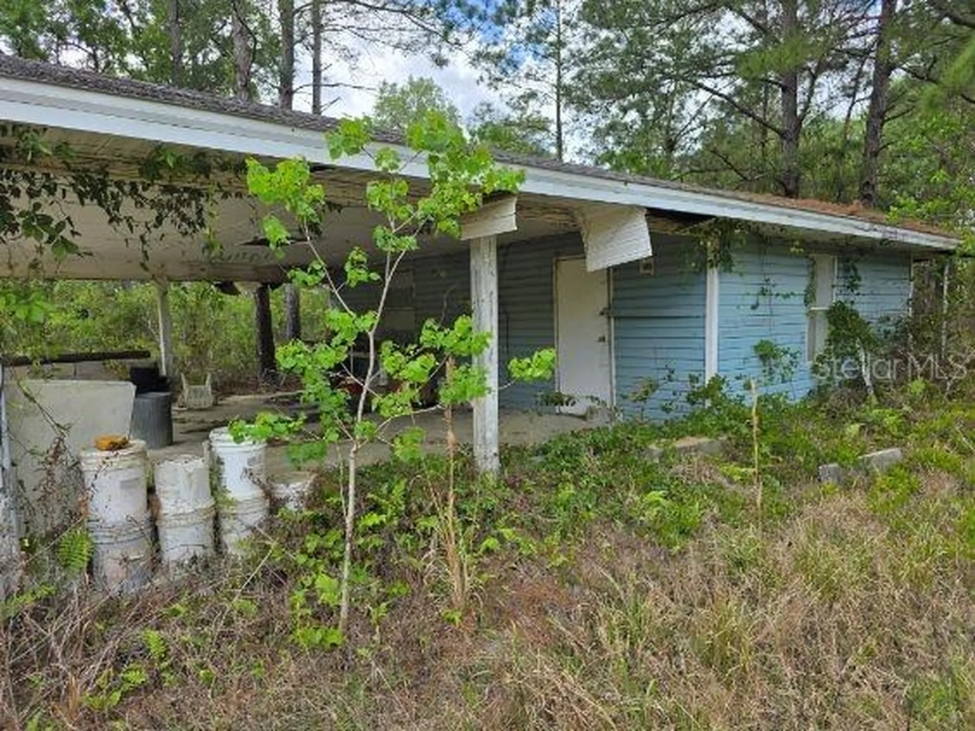 8878 SE 180th Avenue Road Ocklawaha FL 32179