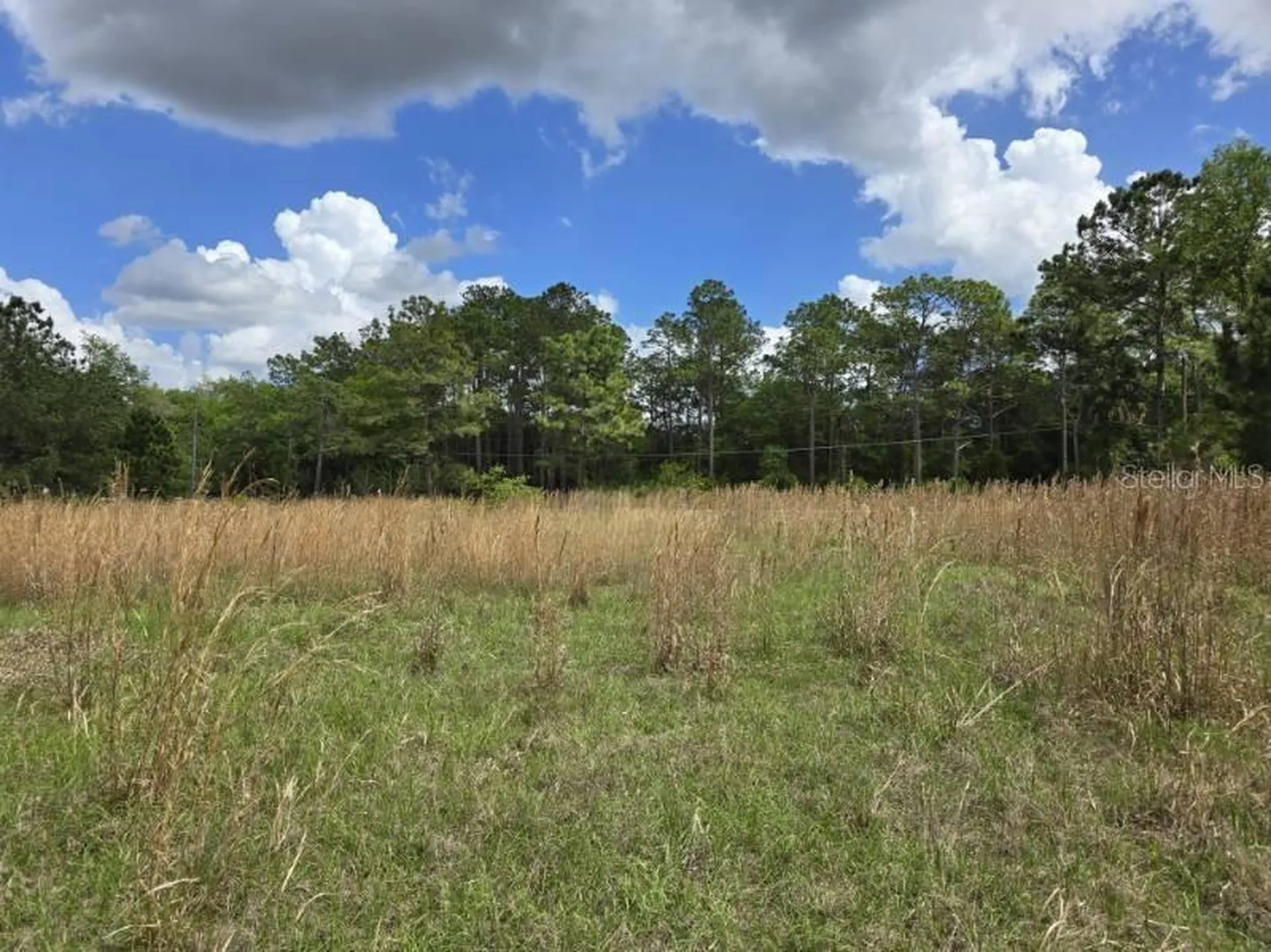 8878 SE 180th Avenue Road Ocklawaha FL 32179