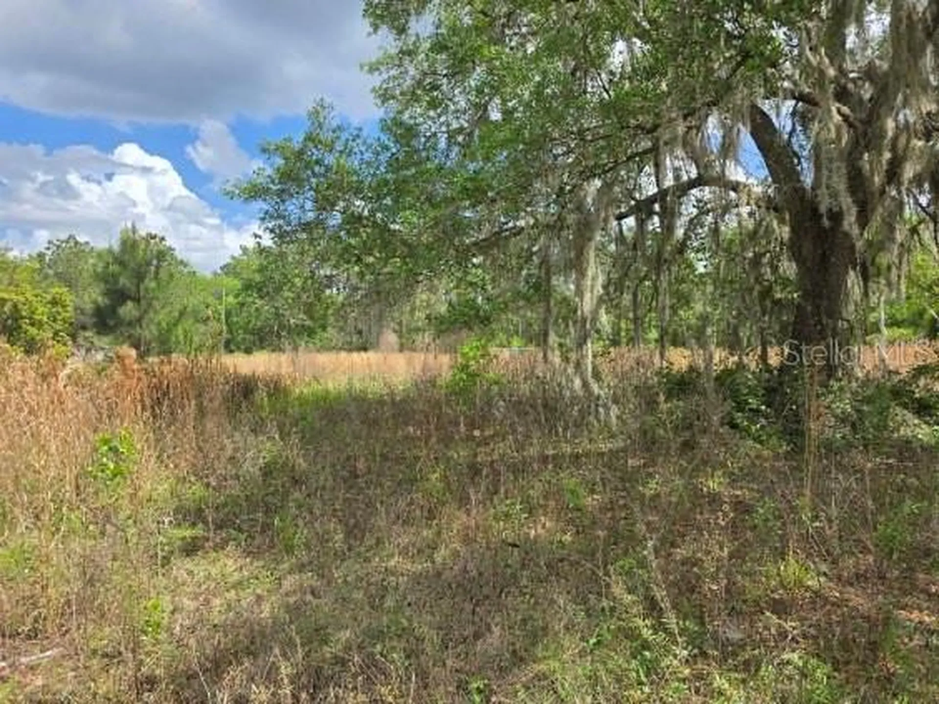8878 SE 180th Avenue Road Ocklawaha FL 32179