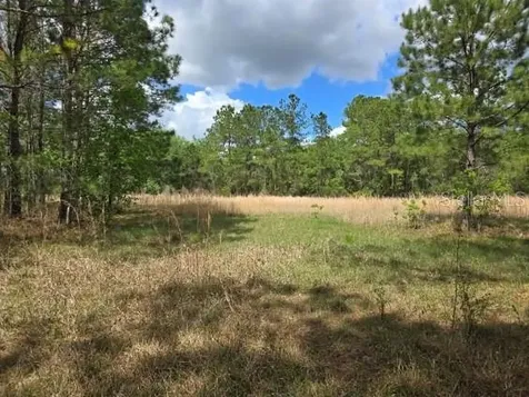 8878 SE 180th Avenue Road Ocklawaha FL 32179