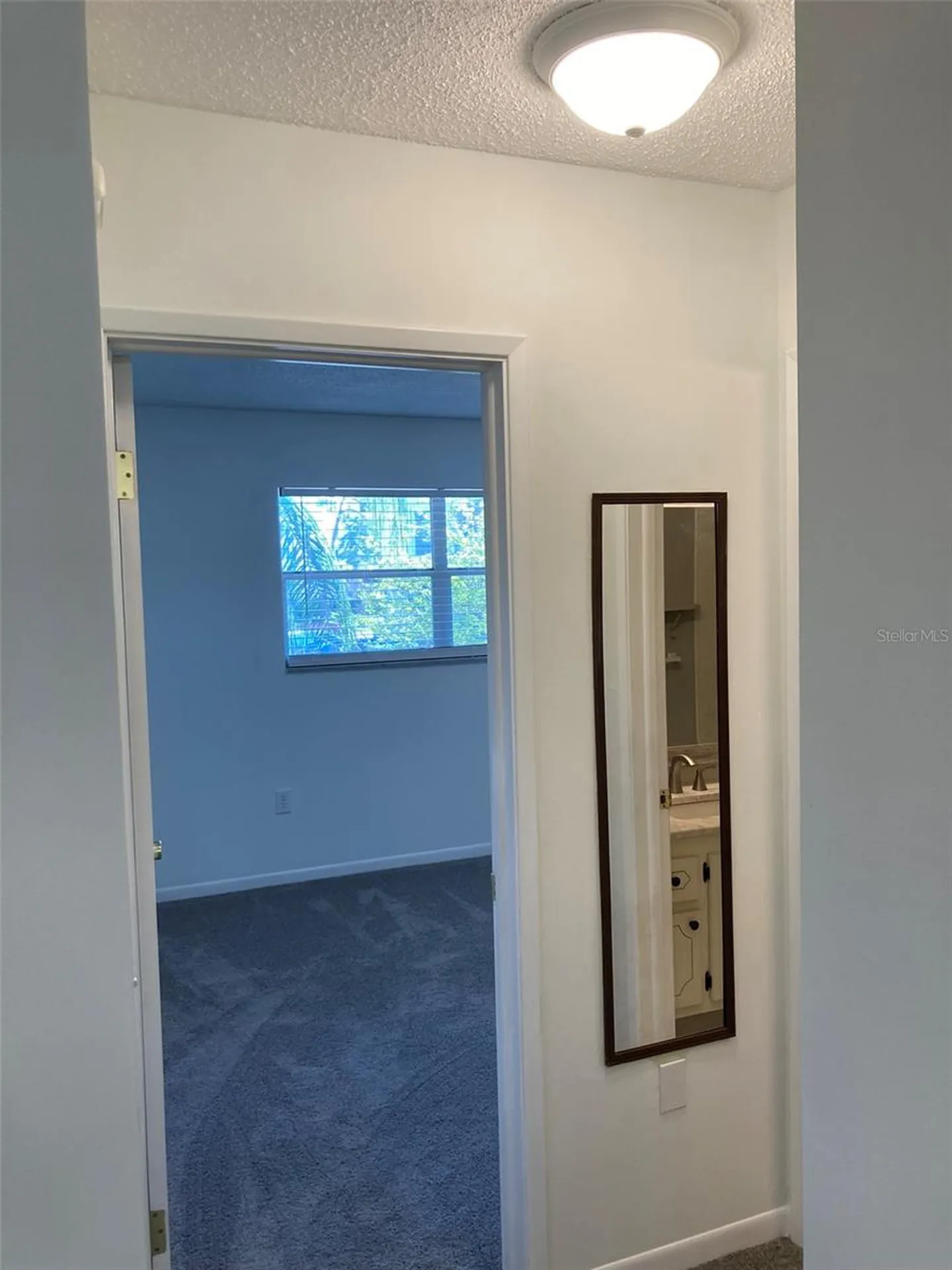 5530 80th Street N St Petersburg FL 33709