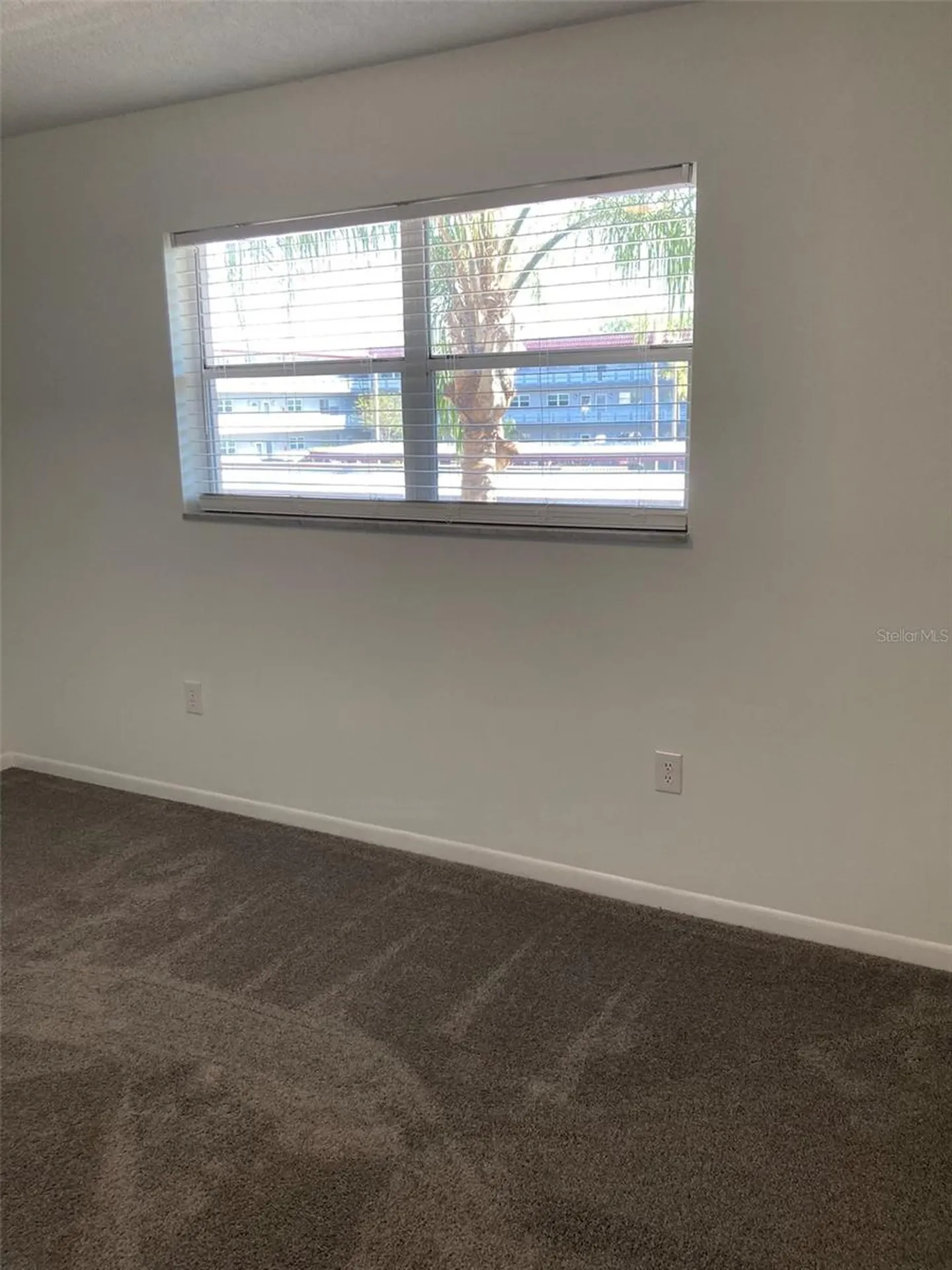 5530 80th Street N St Petersburg FL 33709