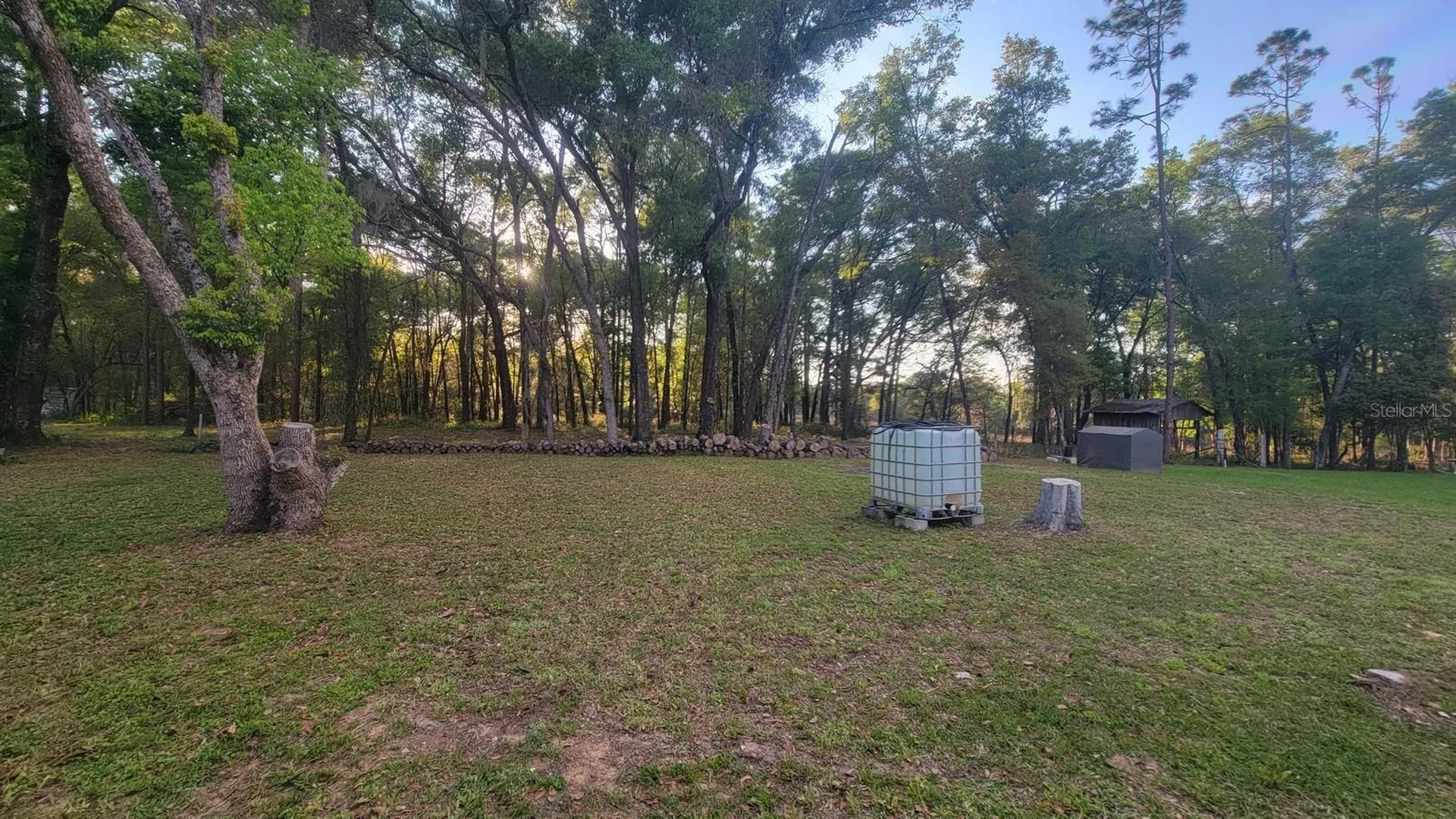 3820 S Alpine Avenue Inverness FL 34452
