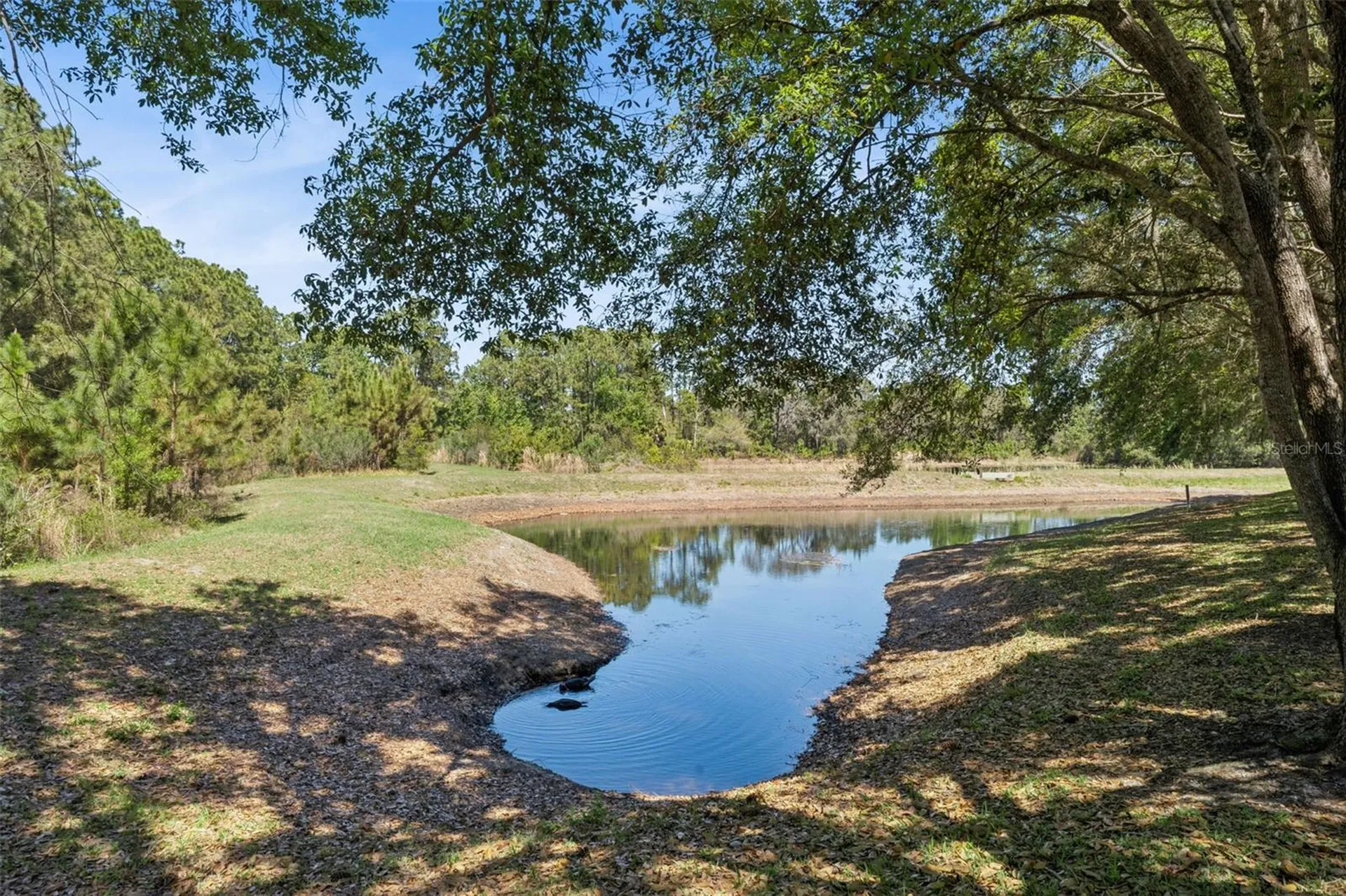 110 Orange Cosmos Boulevard Davenport FL 33837