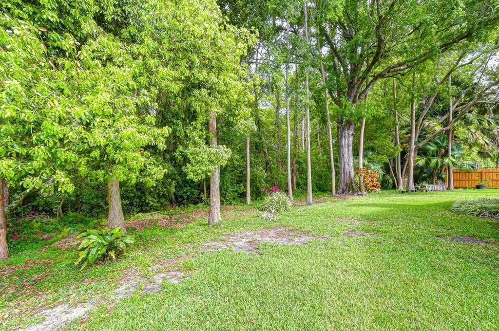 16704 Vallely Drive Tampa FL 33618
