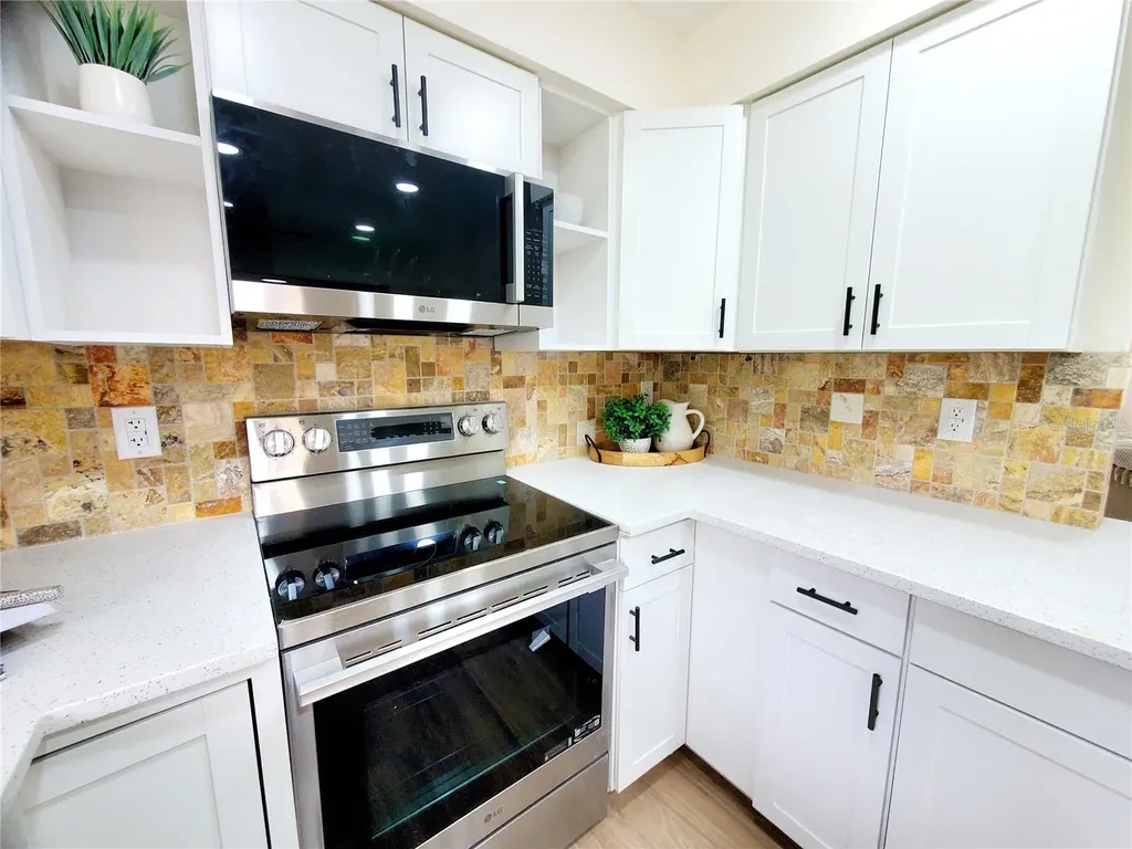 1637 Caledonia Drive Palm Harbor FL 34684