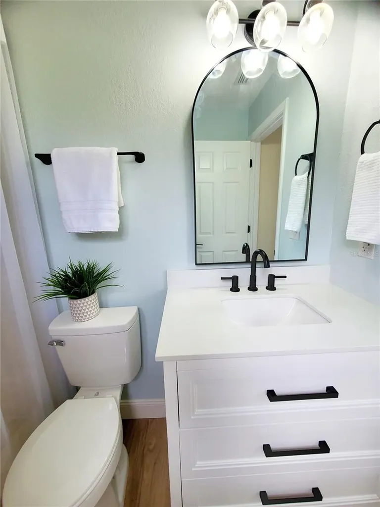 1637 Caledonia Drive Palm Harbor FL 34684