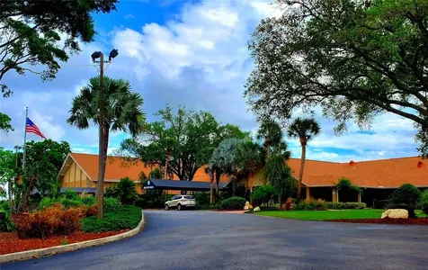 1637 Caledonia Drive Palm Harbor FL 34684
