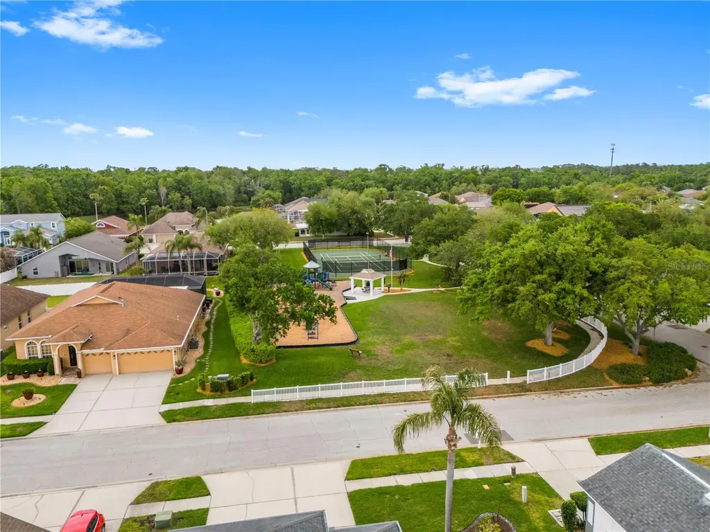 1352 Big Creek Drive Wesley Chapel FL 33544