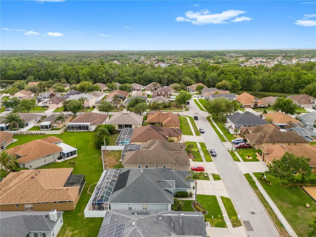 1352 Big Creek Drive Wesley Chapel FL 33544