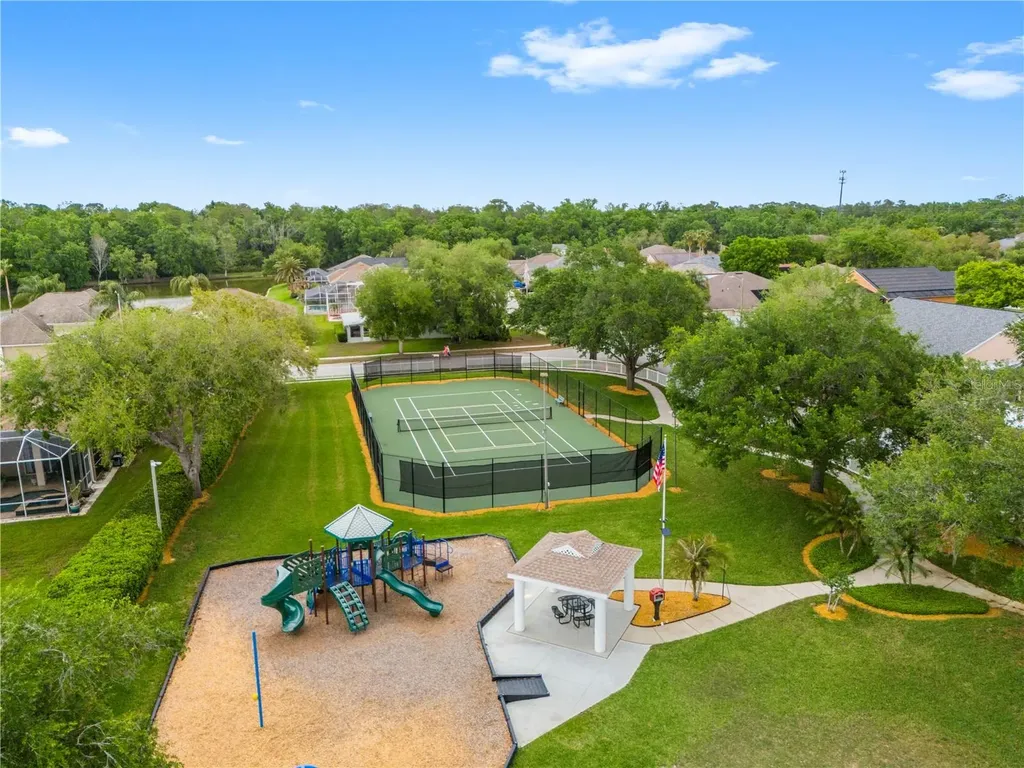1352 Big Creek Drive Wesley Chapel FL 33544