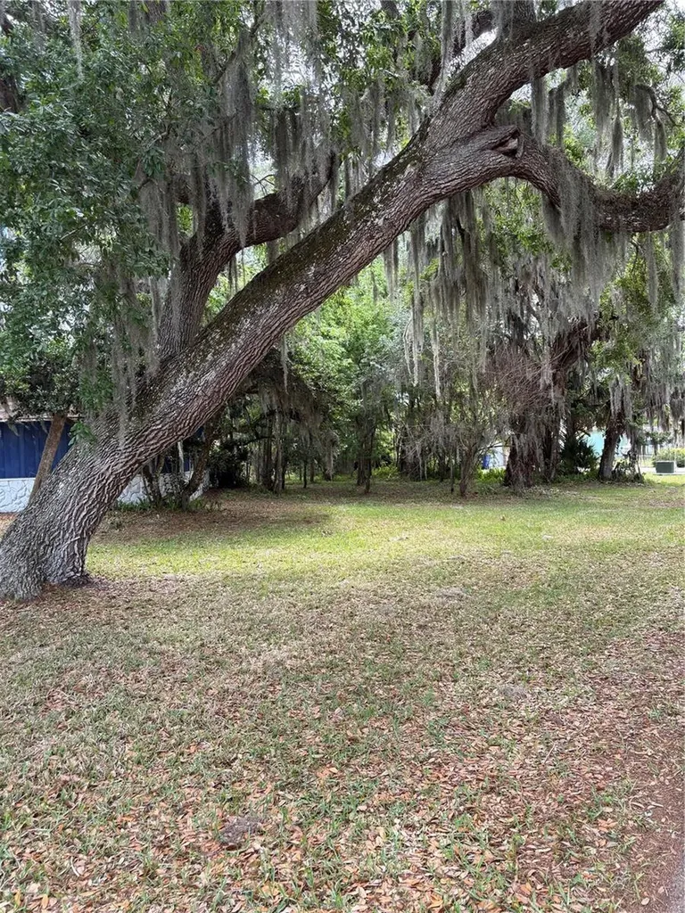 2203 Lime Tree Drive Edgewater FL 32141