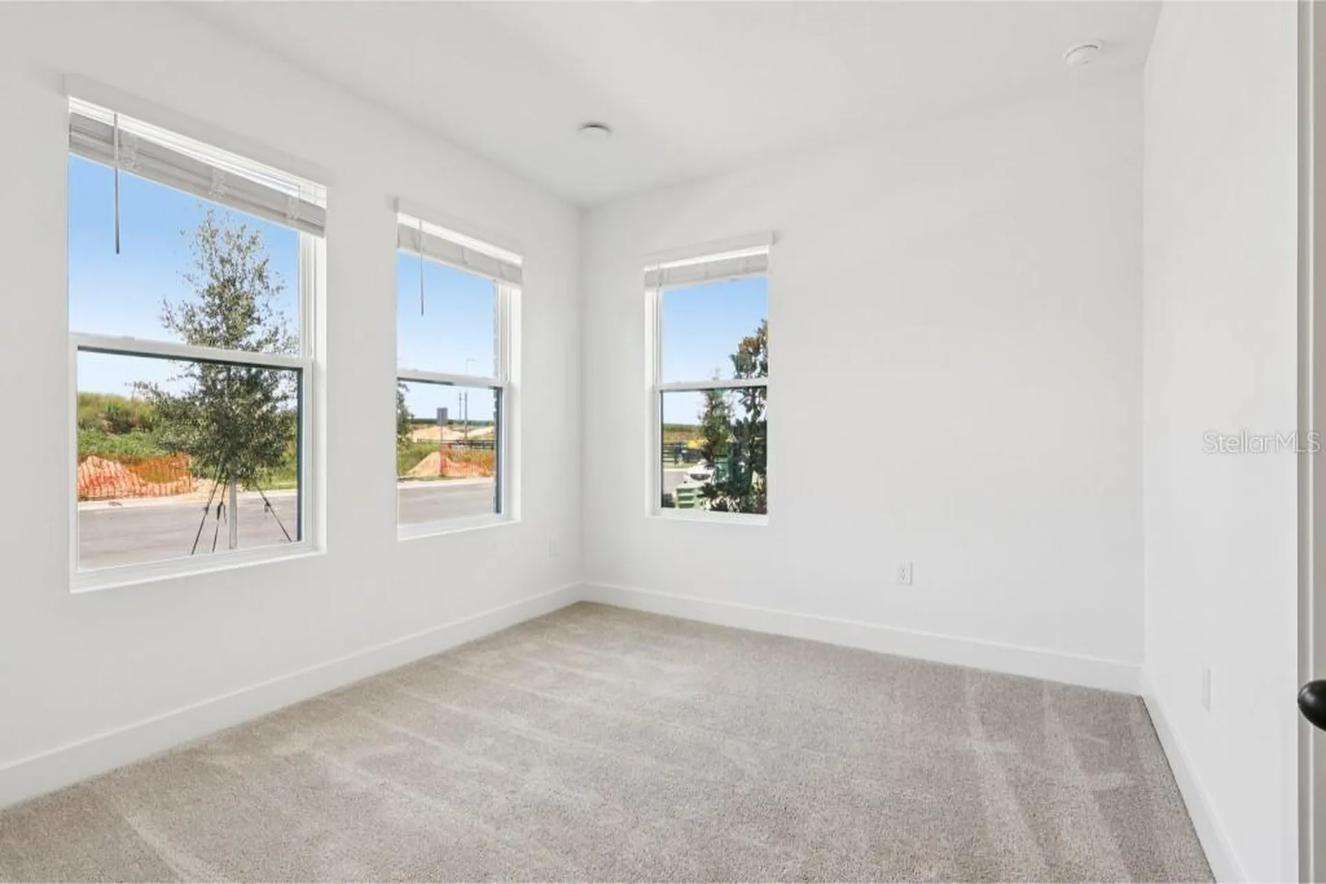 15501 Hamlin Park Drive Winter Garden FL 34787