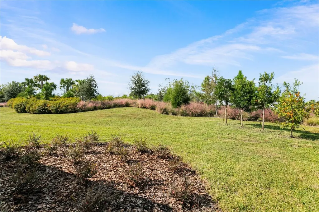 11292 Kingly Lane Odessa FL 33556