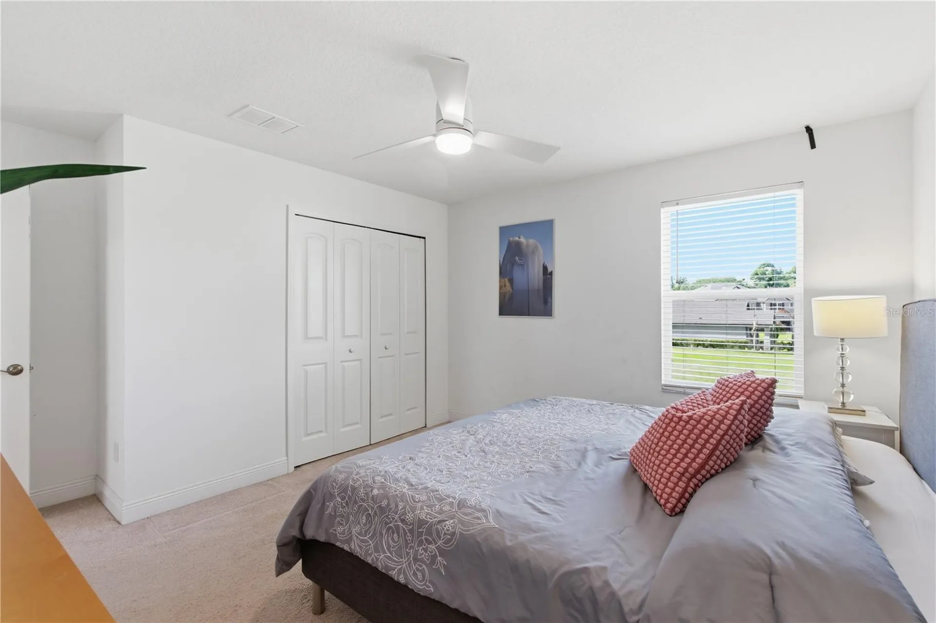 9714 Provencal Avenue Seffner FL 33584