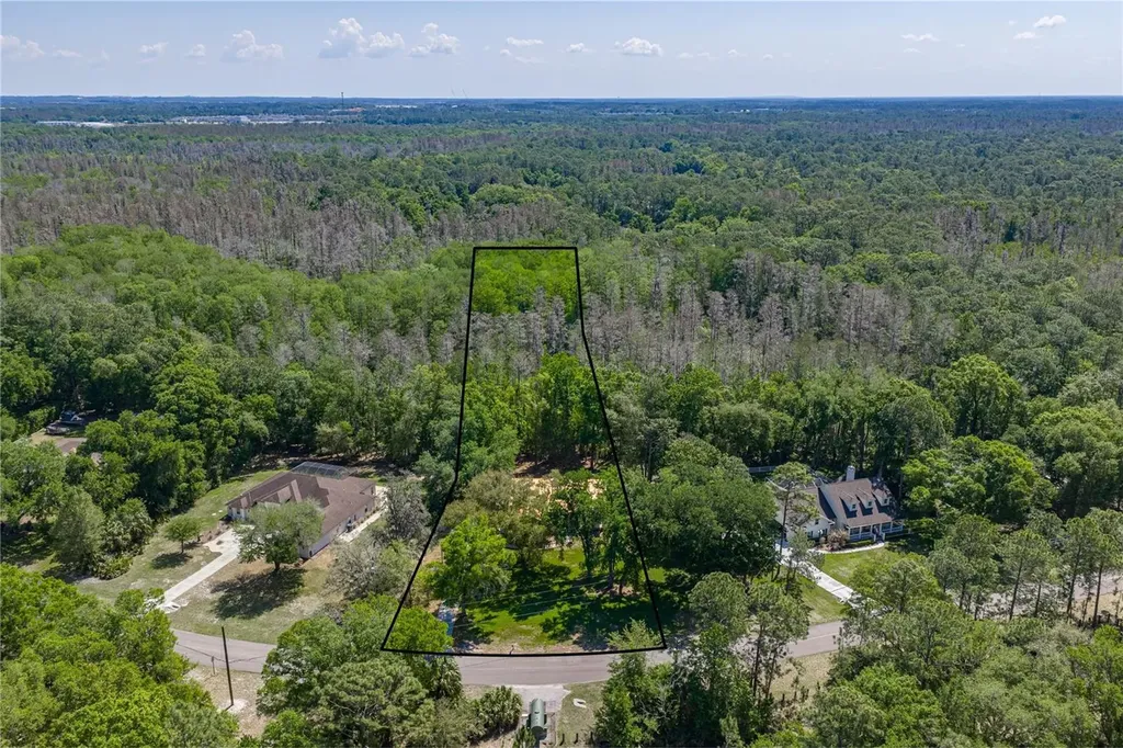 8600 Shenandoah Run Wesley Chapel FL 33544