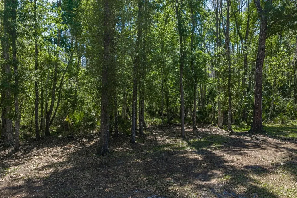 8600 Shenandoah Run Wesley Chapel FL 33544