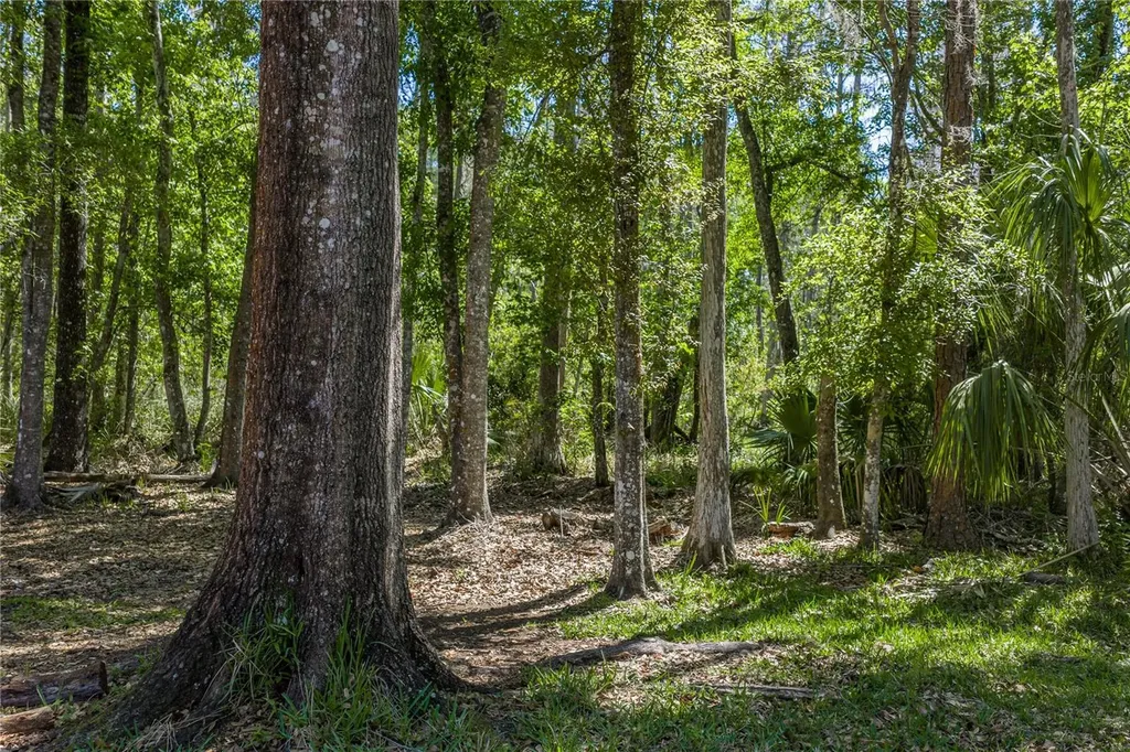 8600 Shenandoah Run Wesley Chapel FL 33544