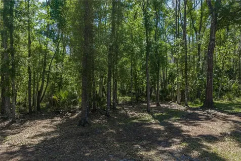 8600 Shenandoah Run Wesley Chapel FL 33544