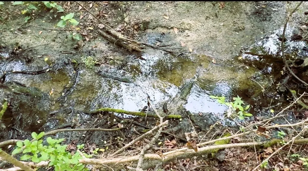 10350 Deer Run White Springs FL 32096