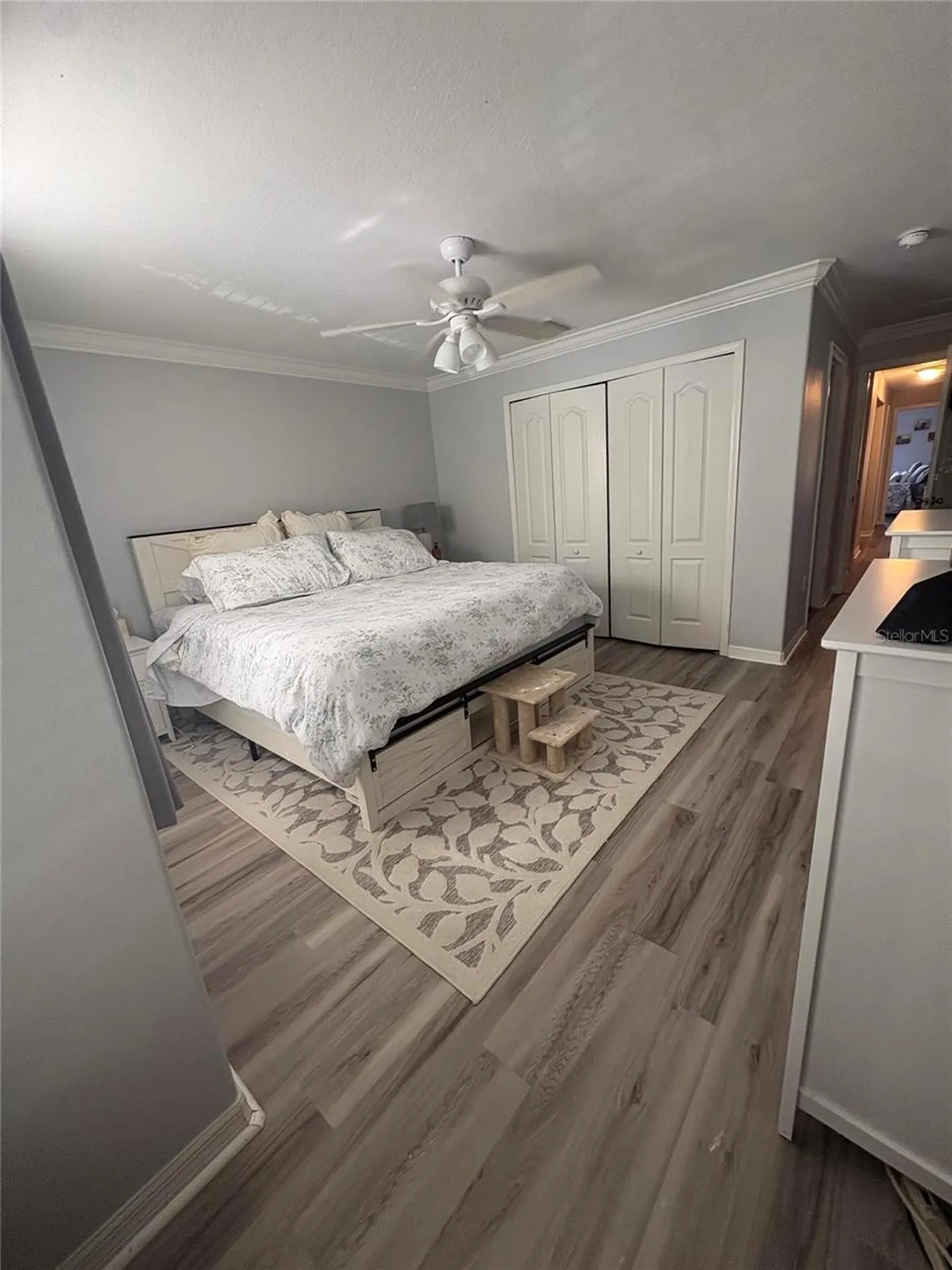 6255 Timberly Lane Zephyrhills FL 33542