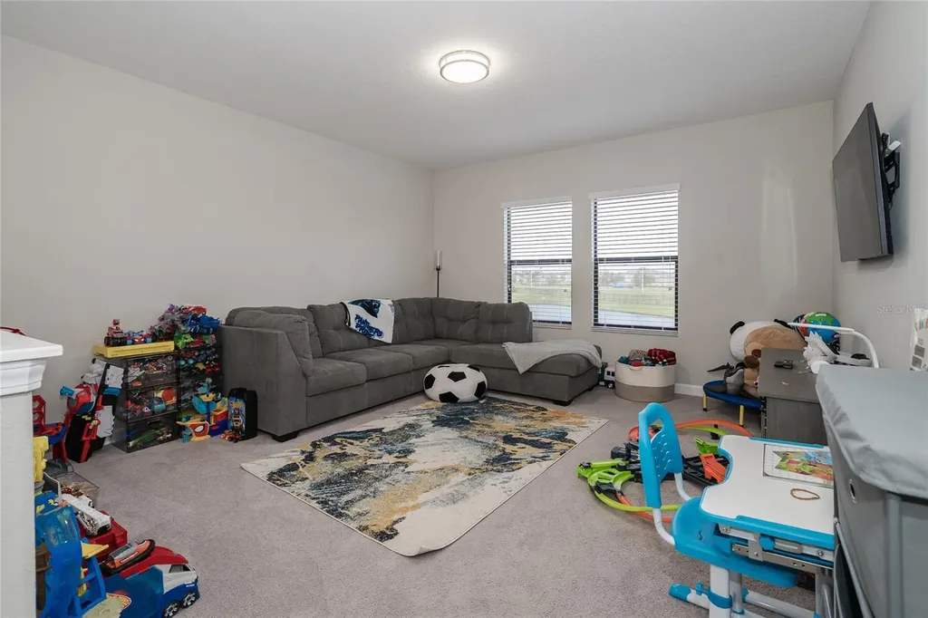 8099 Lago Mist Way Wesley Chapel FL 33545