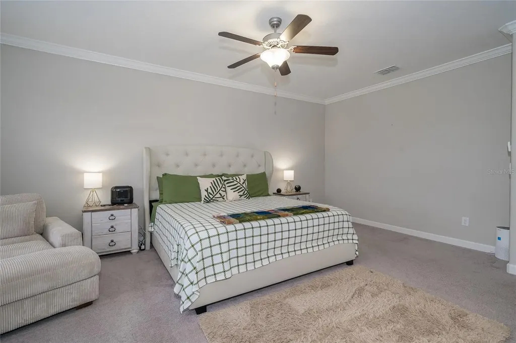 8099 Lago Mist Way Wesley Chapel FL 33545