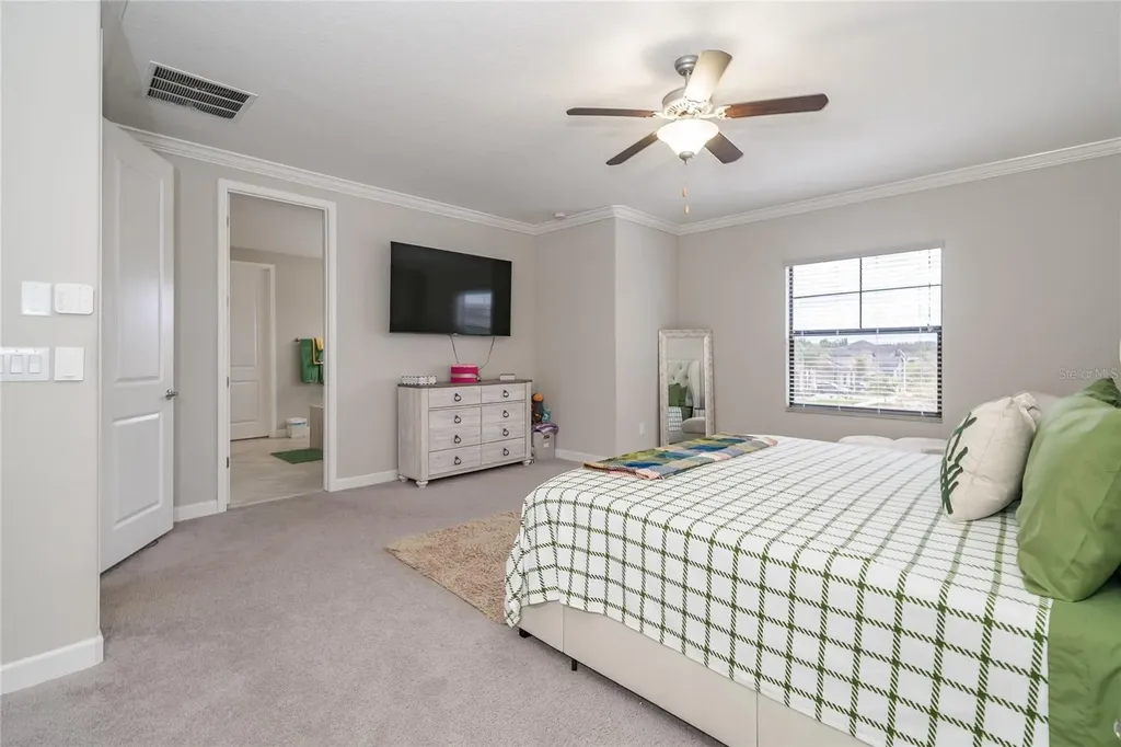8099 Lago Mist Way Wesley Chapel FL 33545