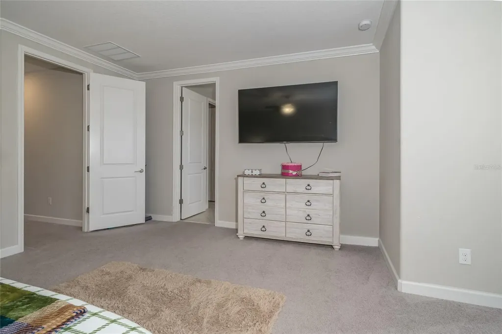 8099 Lago Mist Way Wesley Chapel FL 33545