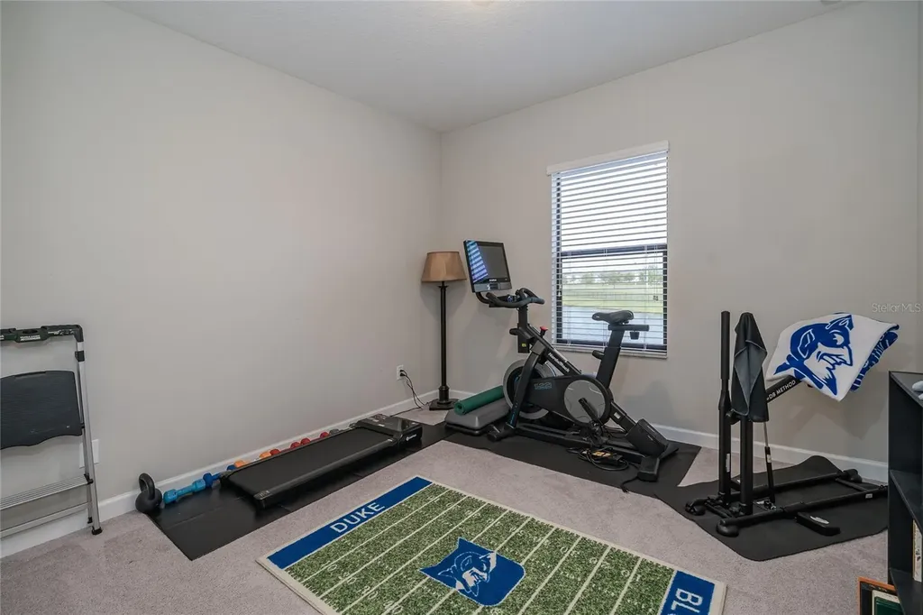 8099 Lago Mist Way Wesley Chapel FL 33545