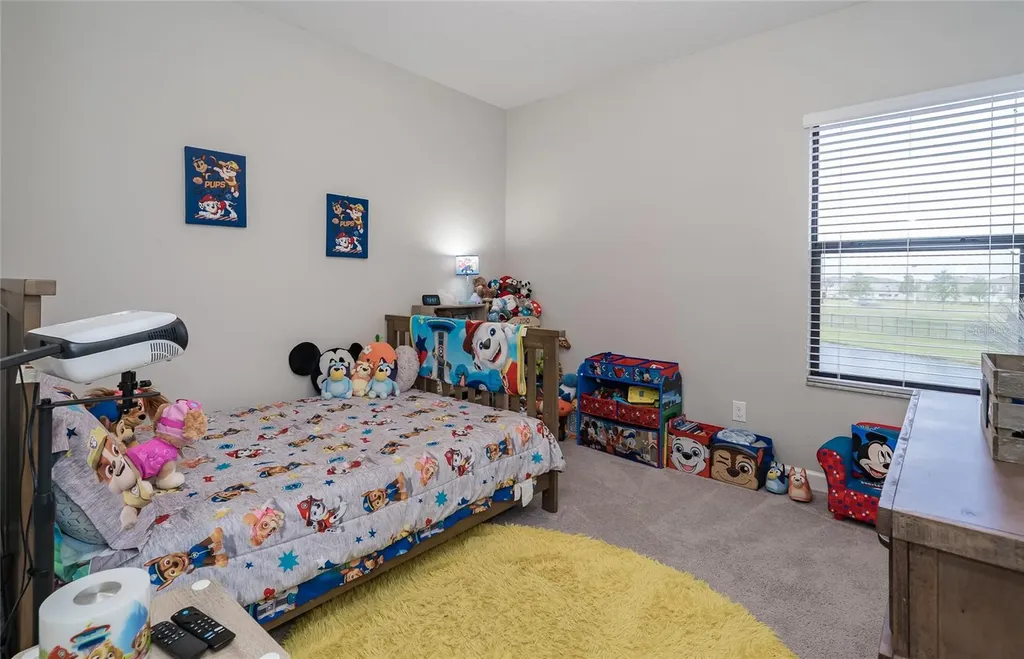 8099 Lago Mist Way Wesley Chapel FL 33545