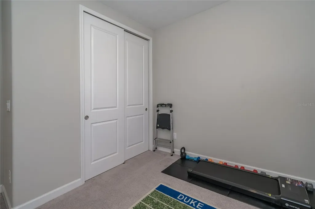 8099 Lago Mist Way Wesley Chapel FL 33545