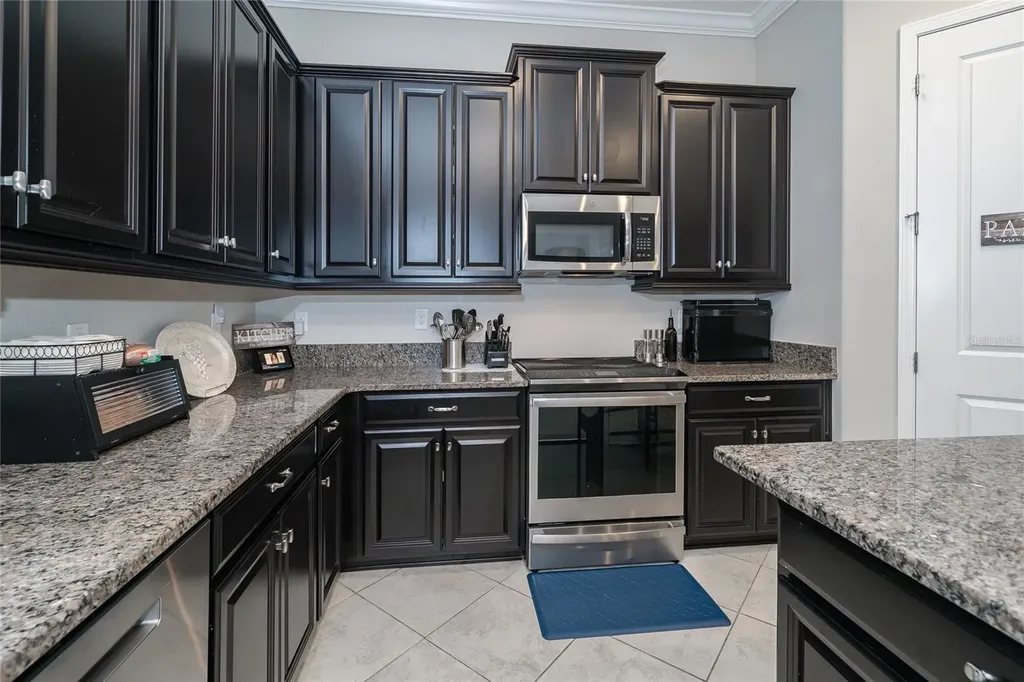 8099 Lago Mist Way Wesley Chapel FL 33545