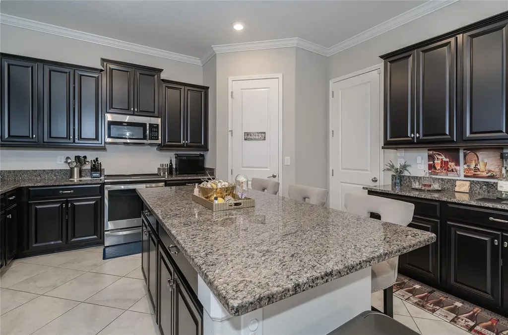8099 Lago Mist Way Wesley Chapel FL 33545