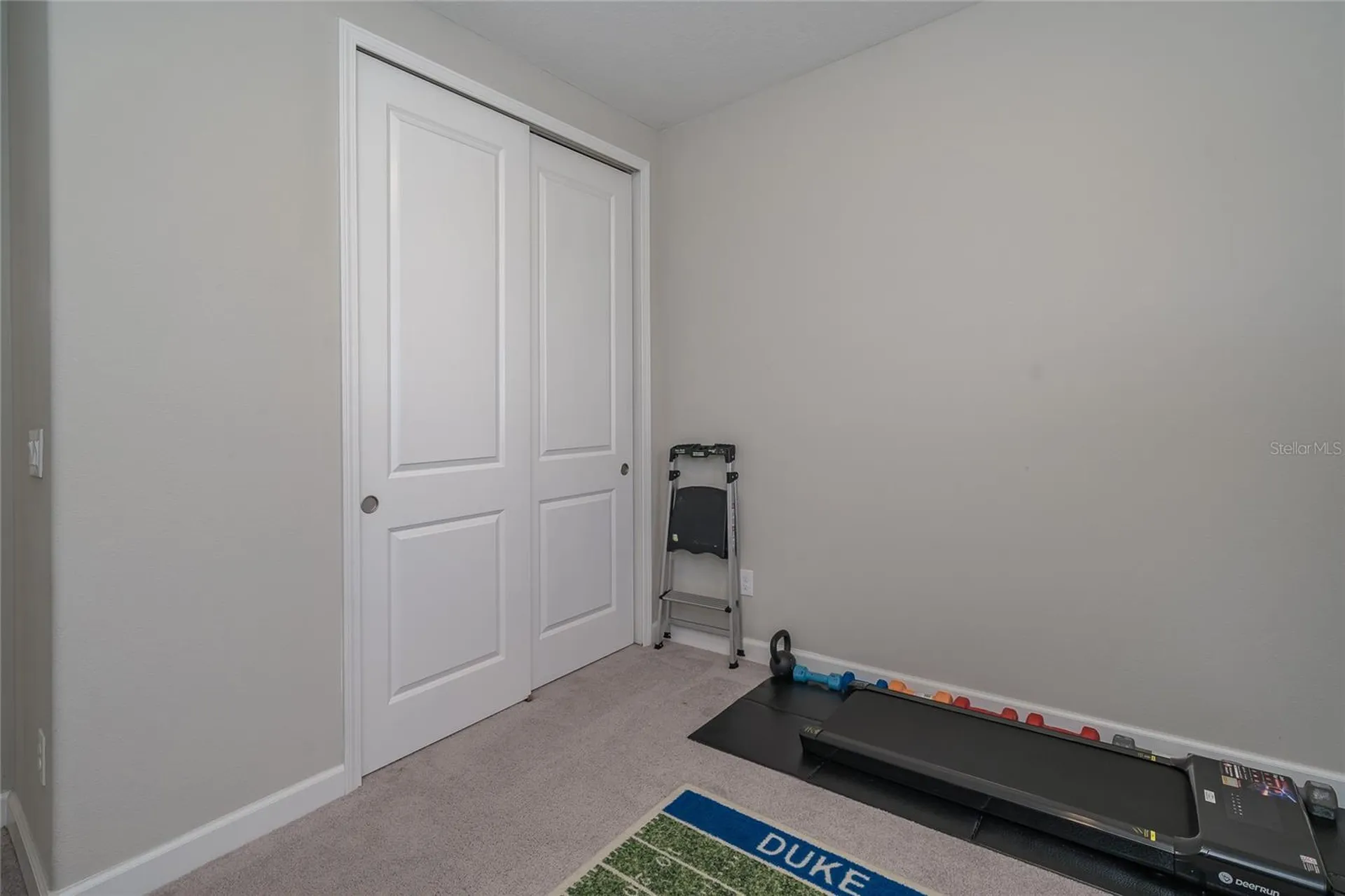 8099 Lago Mist Way Wesley Chapel FL 33545