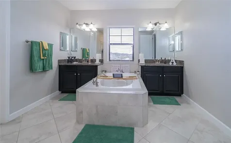 8099 Lago Mist Way Wesley Chapel FL 33545