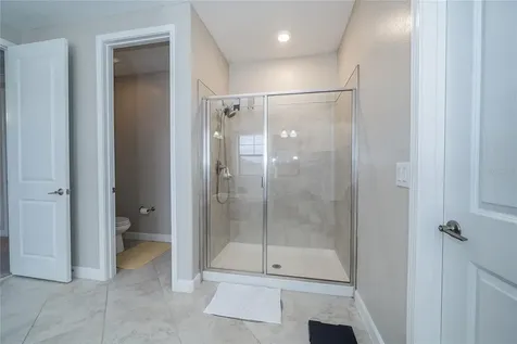 8099 Lago Mist Way Wesley Chapel FL 33545